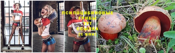 мдпв Абдулино