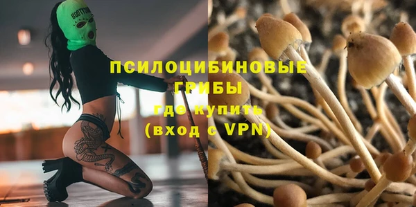 МДПВ Абаза