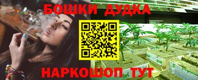 PSILOCYBIN Славгород