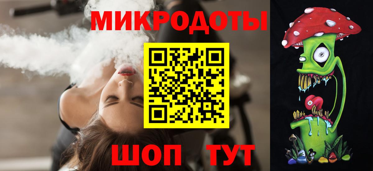 Псилоцибиновые грибы Psilocybe Псков